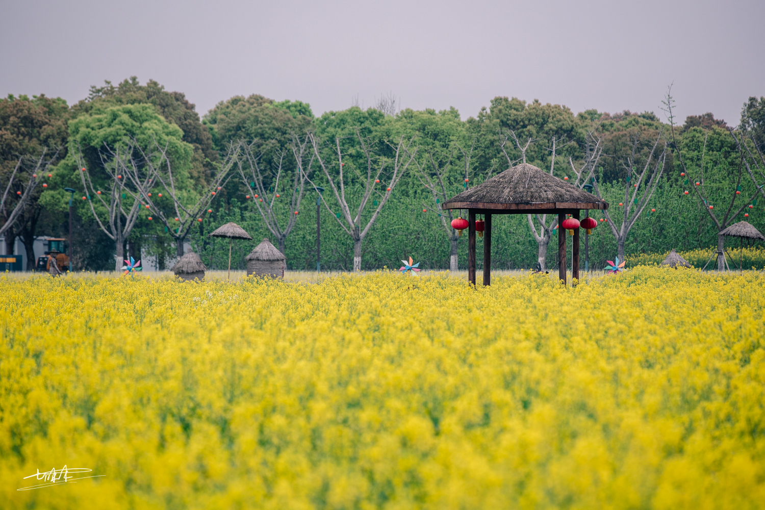周庄古镇江南水乡美如画,周庄梦里水乡视频