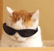 cad钢筋符号显示问号字体怎么解决,cad图打开后字体是问号什么原因