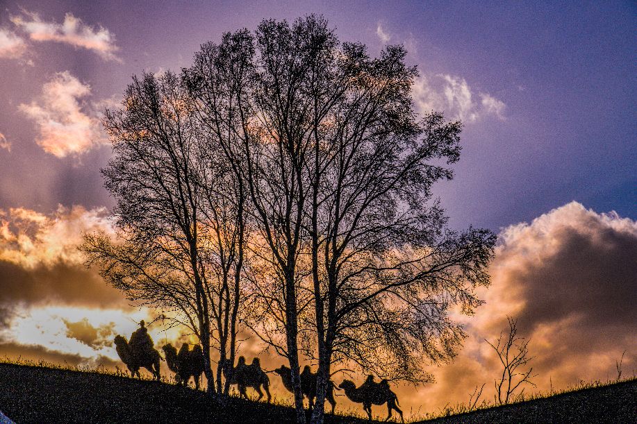 周洪涛上海,上海周洪涛摄影