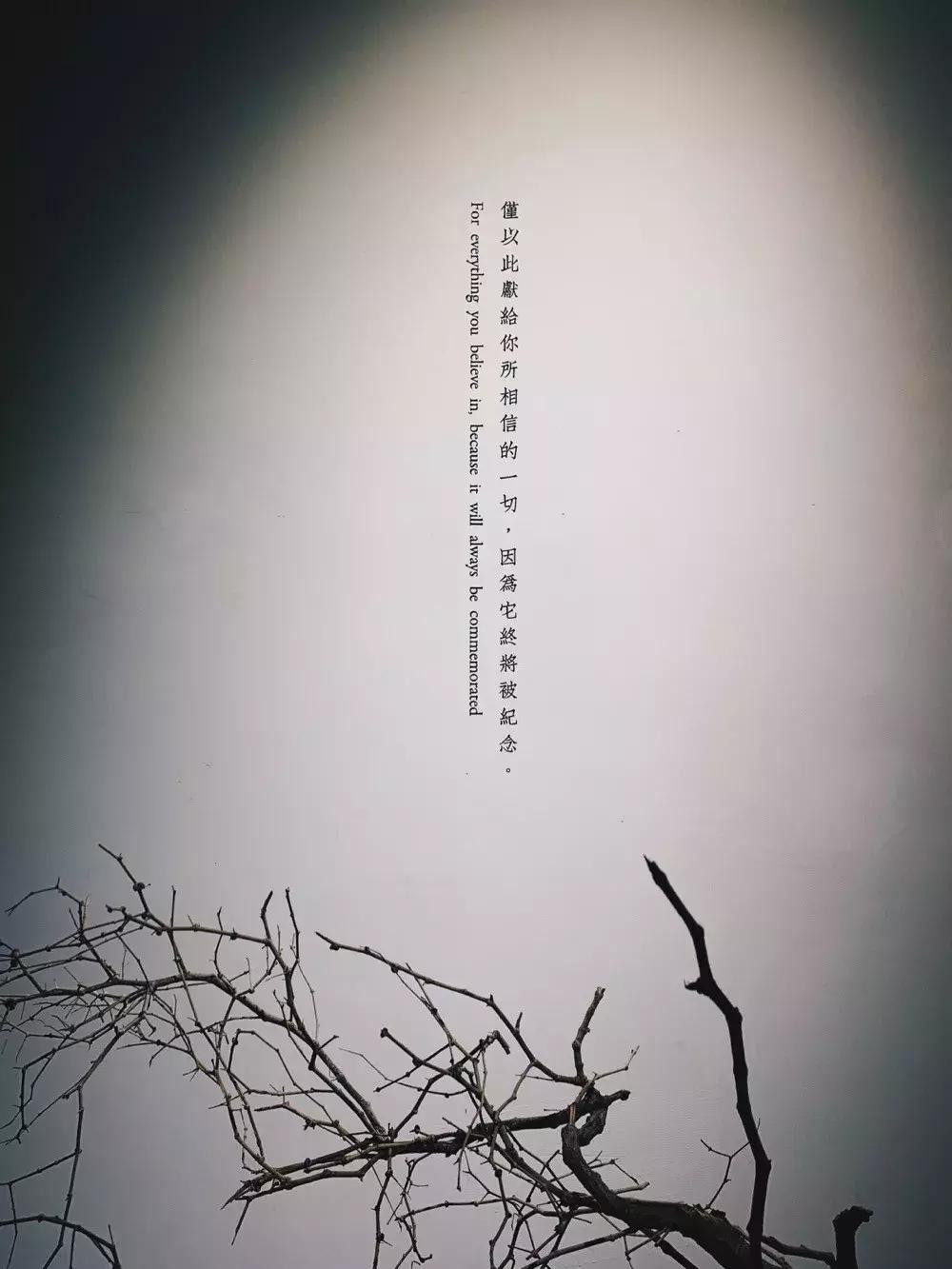 摄影师美食主播,摄影师美食博主