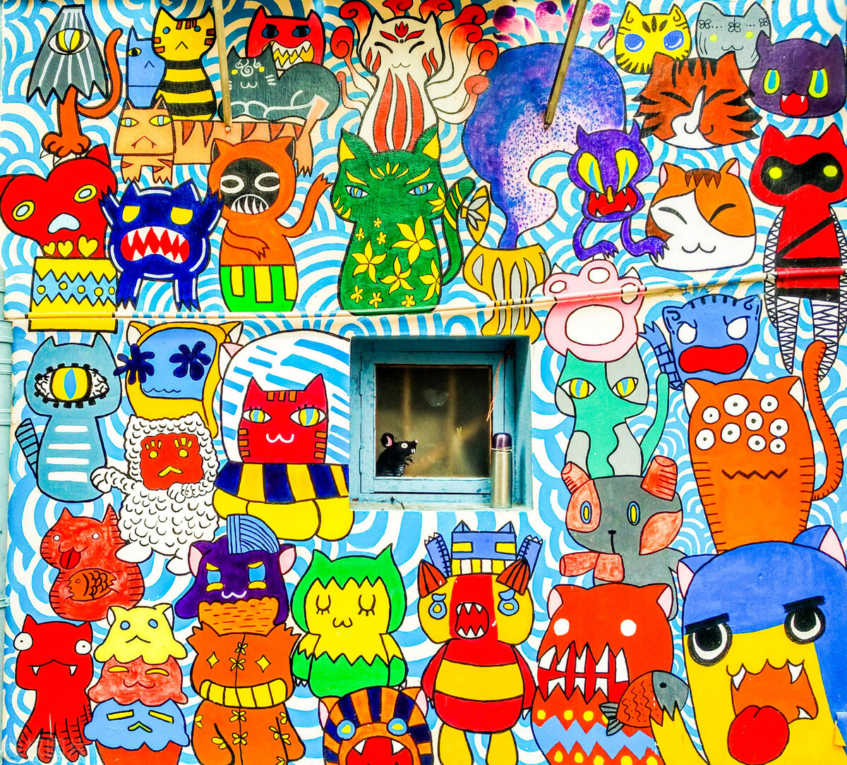 厦门顶级猫街介绍,厦门猫街值得去吗