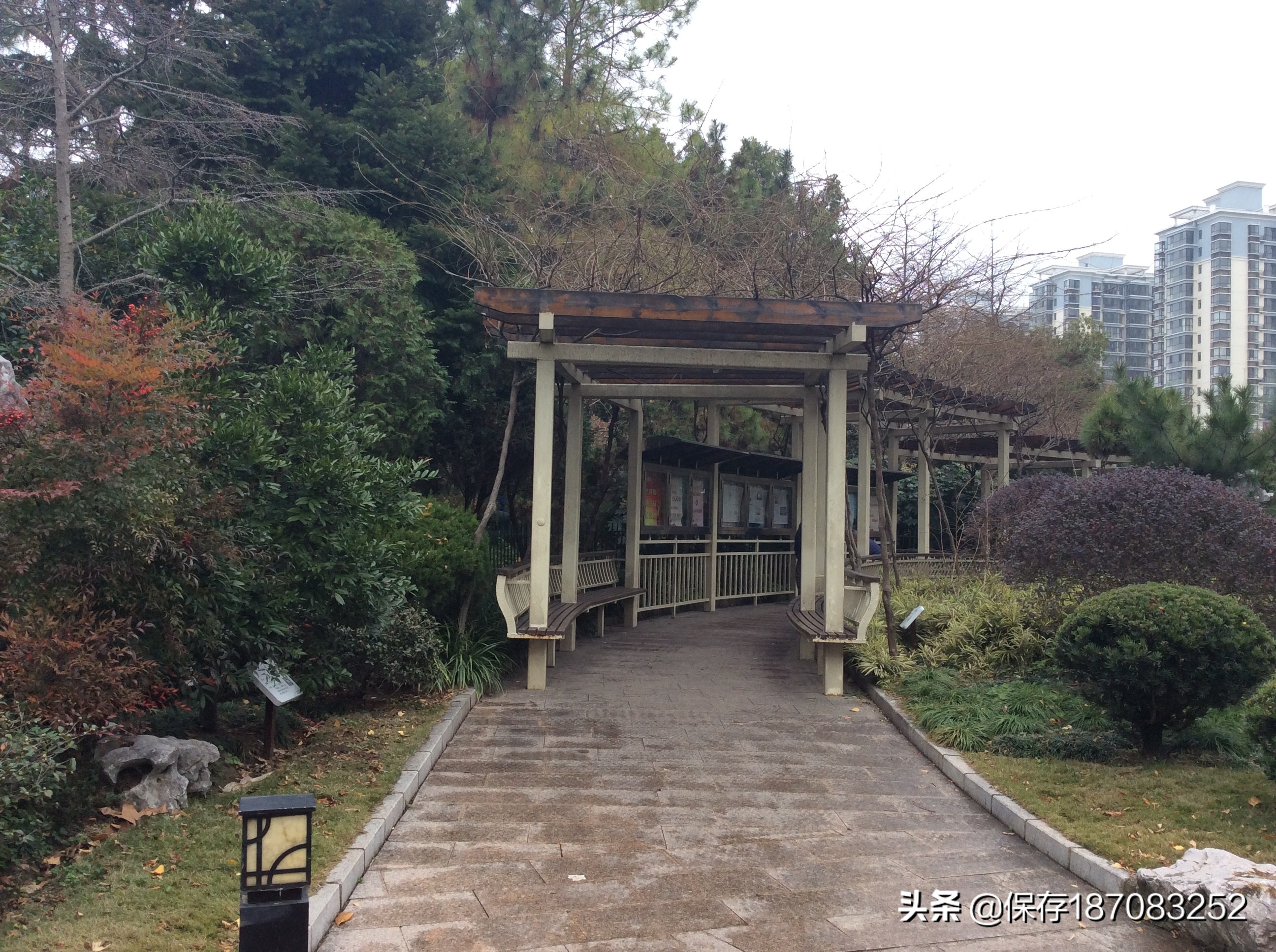 上海普陀山公园,普陀区长风公园在哪