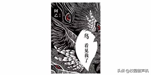 高晓松爱看的书野羊史,高晓松推荐的著作