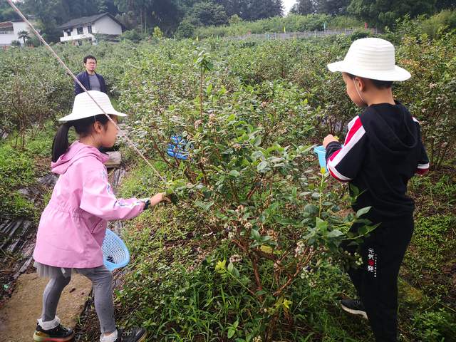 重庆周边端午节游玩攻略,重庆端午周边露营地推荐