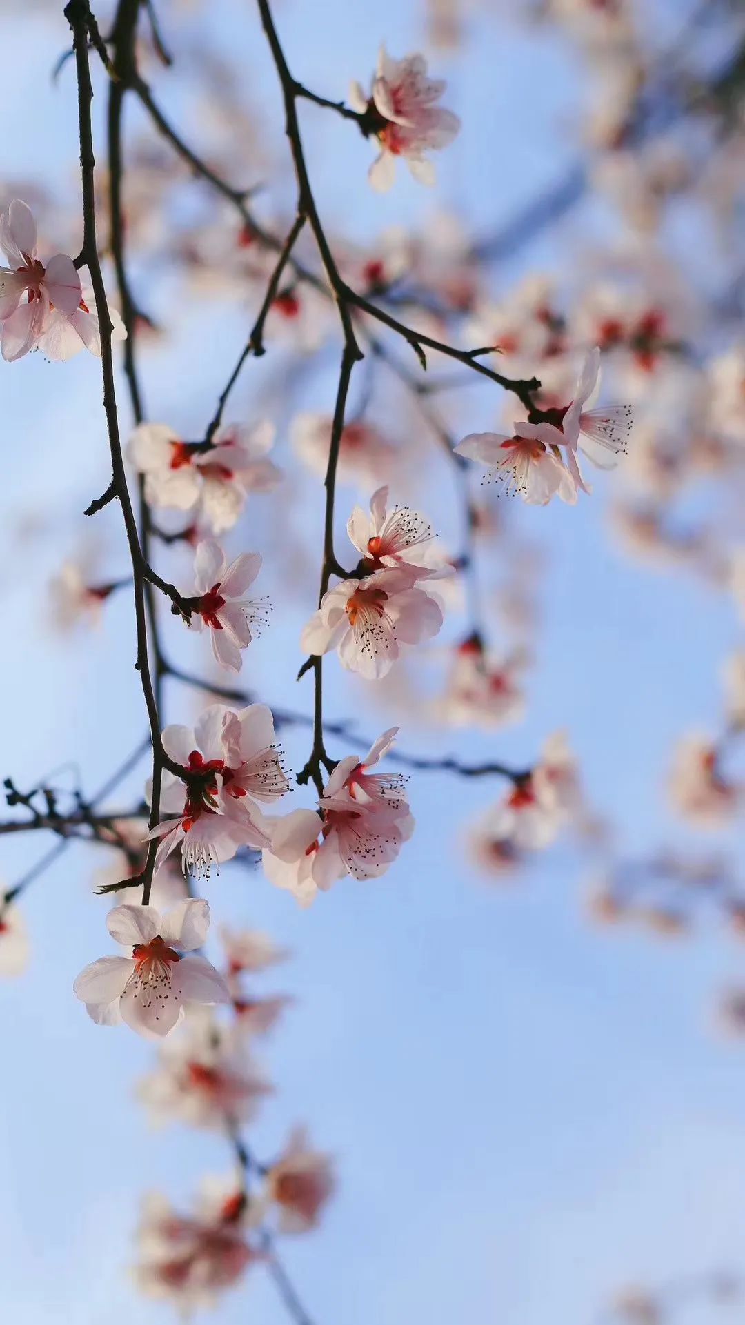 晋城司徒小镇异域风情,晋城皇城相府和司徒小镇