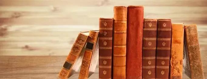 五下语文二十三课笔记,五年级下册语文23童年的发现