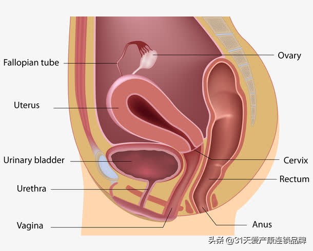 月经异常子宫出血是什么意思,月经异常出血会是子宫内膜癌吗