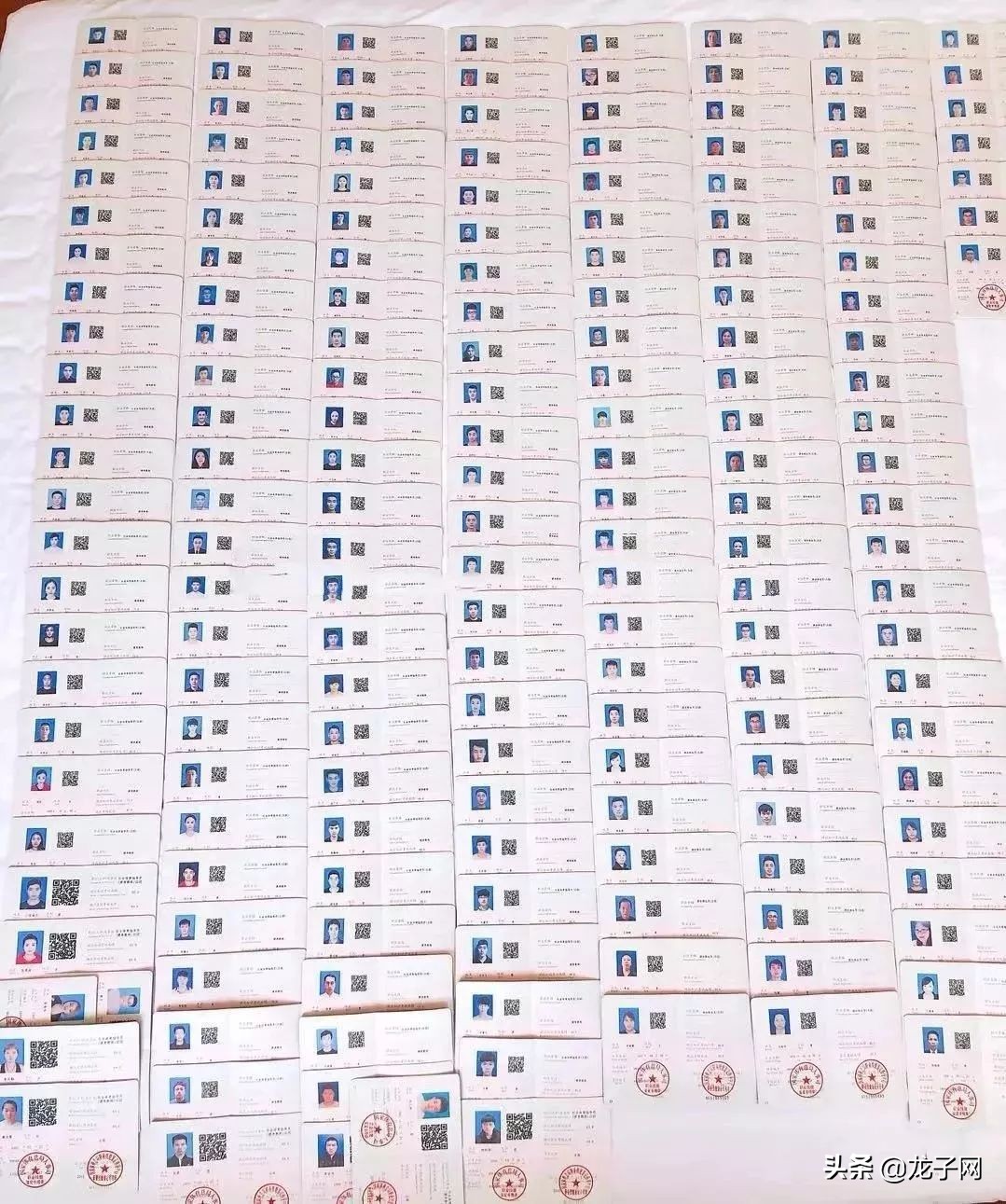 健身教练职业技能培训报考,洛阳市健身教练培训多少钱