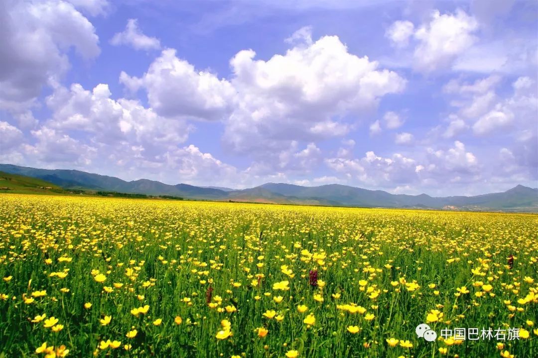 内蒙古巴林右旗的草原美景,赤峰巴林右旗旅游风景区