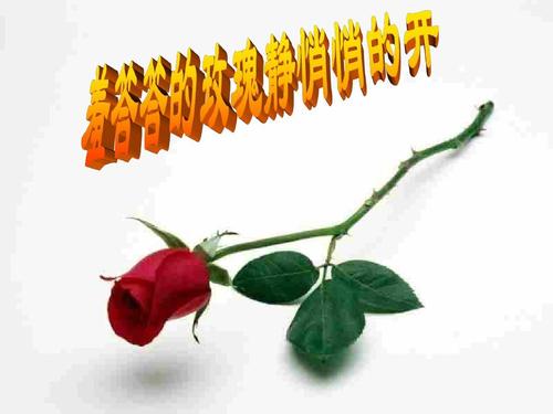 当心好奇害死猫原版,好奇害死猫怎么养