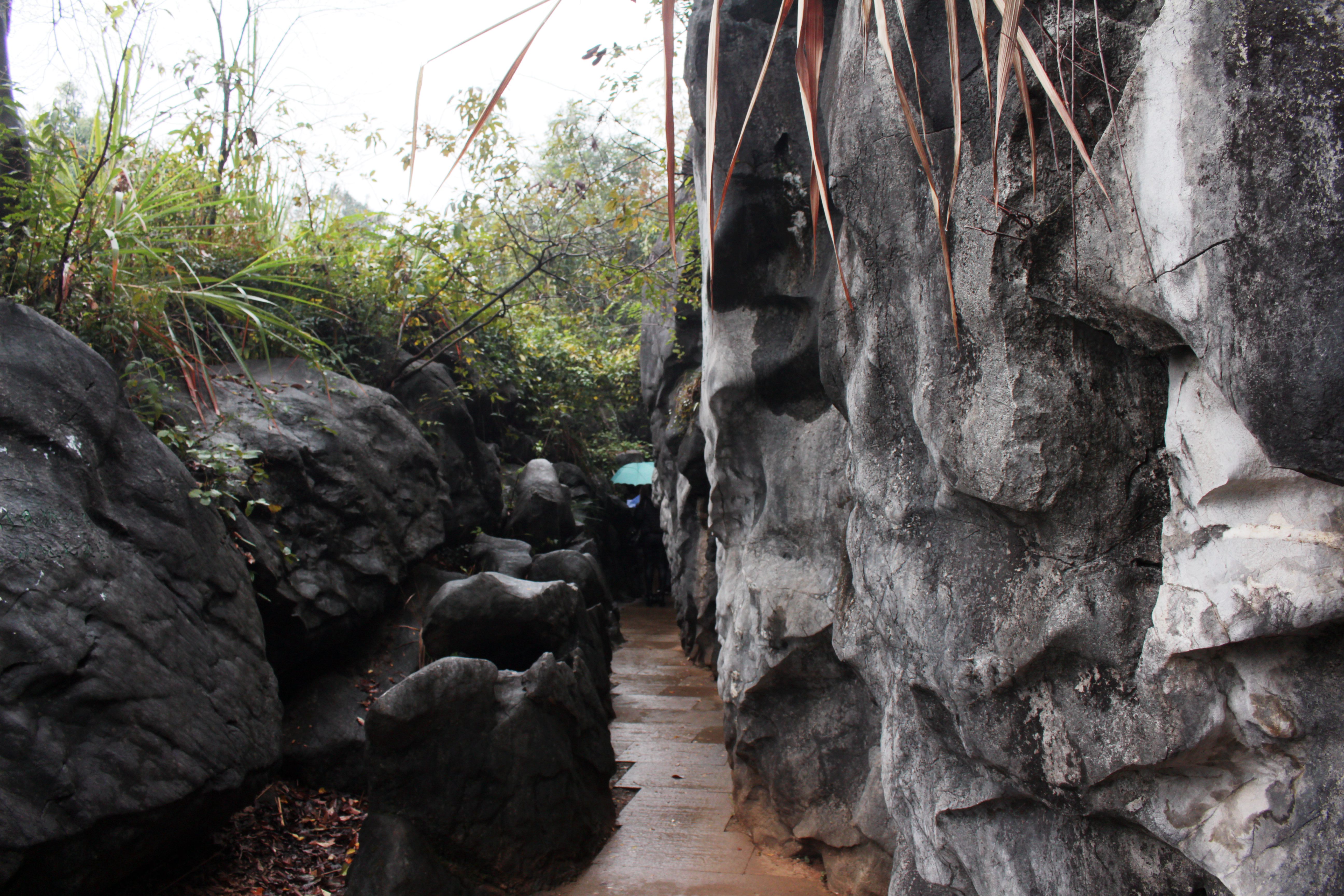 现在浙江最火的一个免费景点,浙西景区