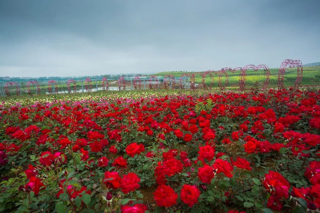 中国之美惊艳全世界,中国之美镜头视频