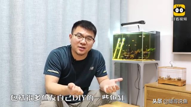 大缸什么过滤效果最好,什么过滤方式小缸效果最佳