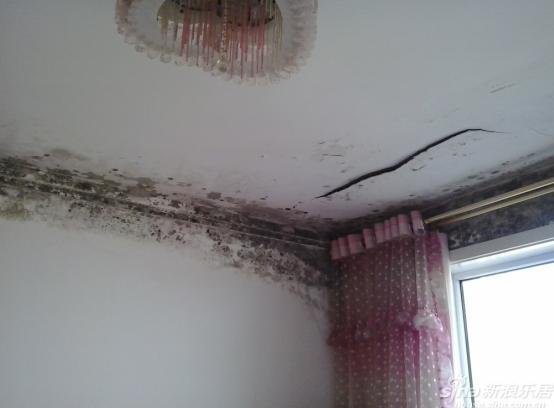 卫生间可能藏有危险致命菌,一个卫生间带来的困扰