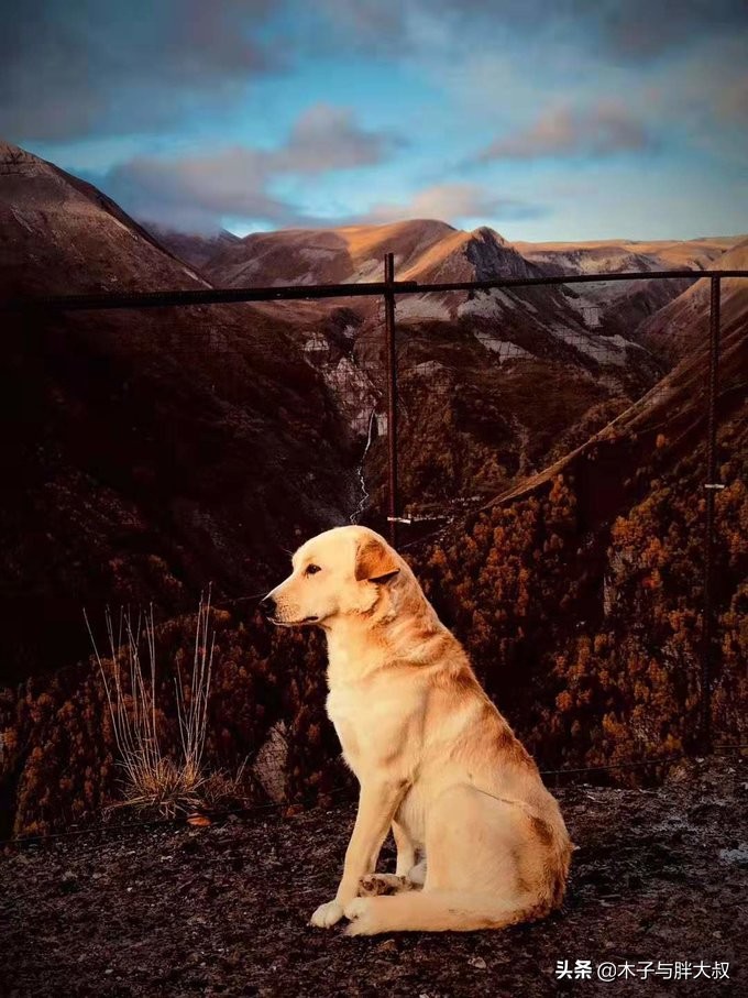 顺延返校,不惑之旅高加索格鲁吉亚