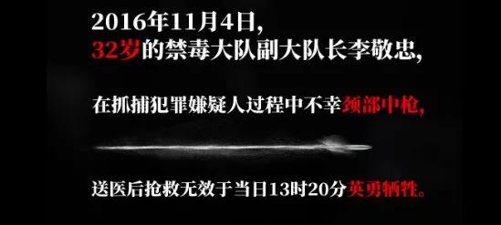 破冰行动原型案件警力,破冰行动真实抓捕事件