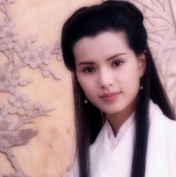 苏轼最有暗恋情结的宋词,苏轼最缠绵悱恻的一首爱情词