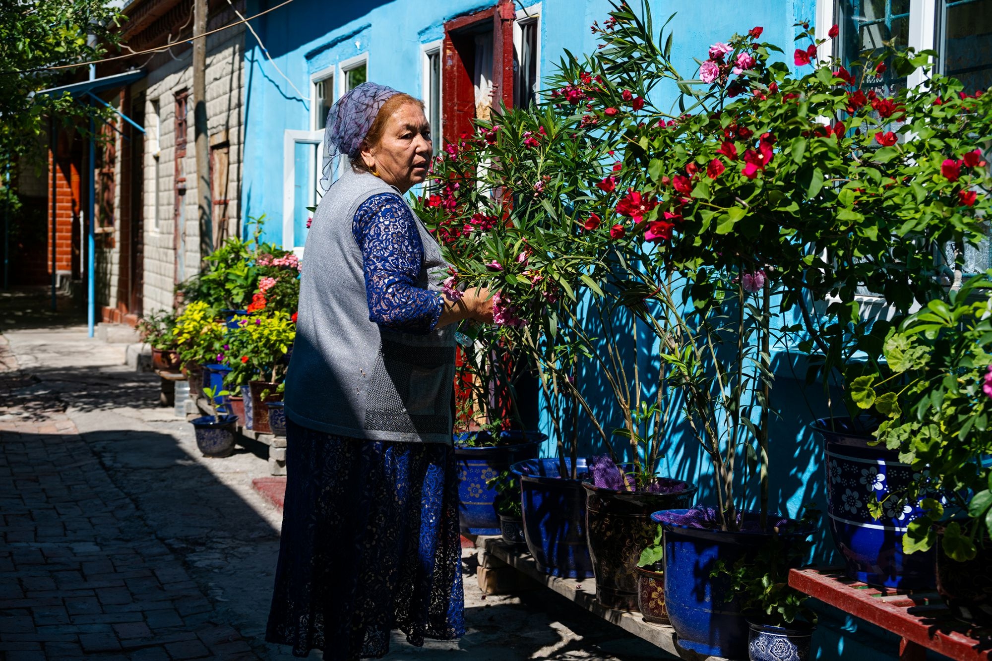 尼康z7ii风光宣传图,尼康z7iii的拍摄感受