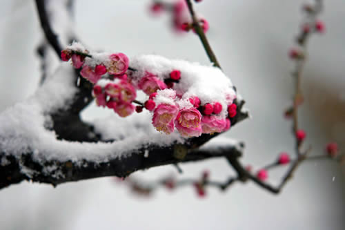 璇楃粡閮戦瑜拌３鍘嗗彶鑳屾櫙,璇楃粡鍥介閮戦瑜拌３