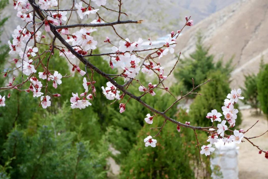 吐血整理！拉萨拍照最美的6个地方，轻轻松松拍出大片