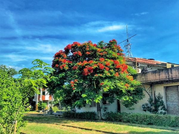 “轨”迷心窍，带你探寻阿杜的店