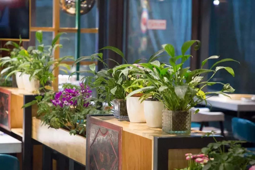 云南蒸汽石锅鱼你吃过吗,云南养生蒸汽石锅鱼