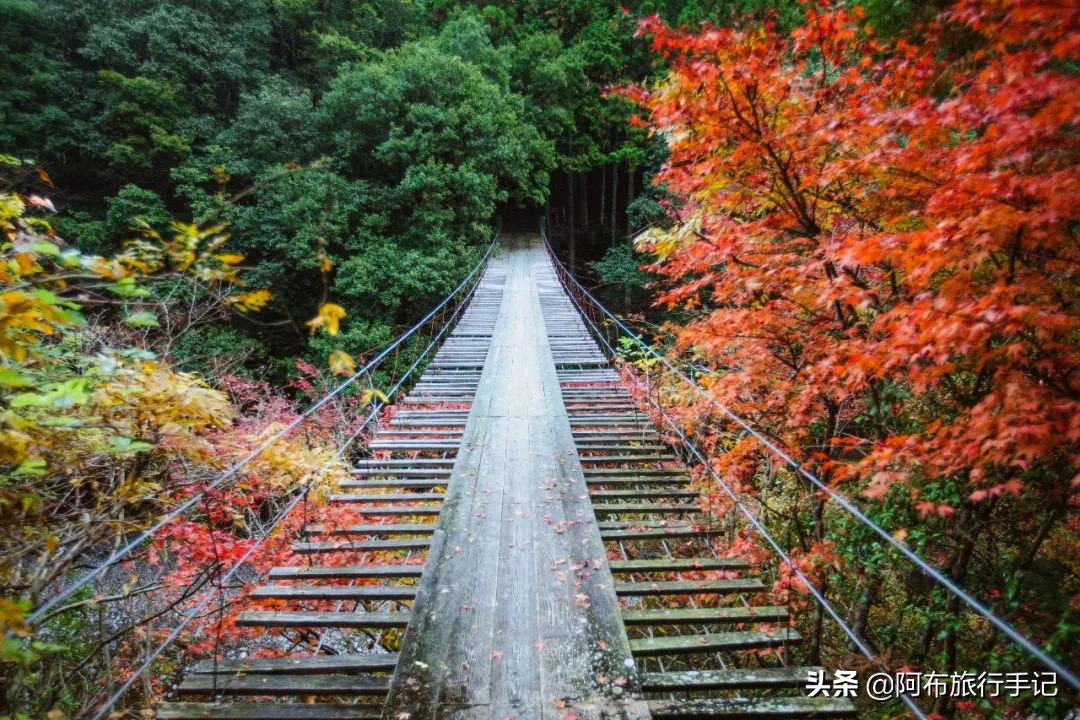 日本熊野古道拍摄,摄影师镜头下的景区