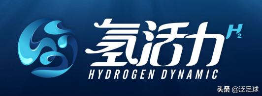 小李子杯足球赛直播,小李子参赛视频