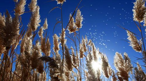 下一个假期去哪里？那些影视剧中宛如仙境的地方，不可以错过