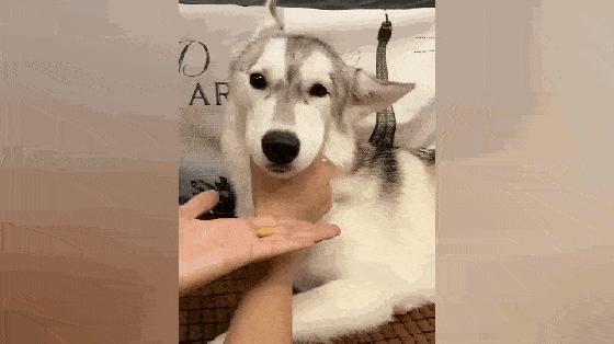 药太苦怎么喂给宝宝呢,药太苦1岁宝宝不吃妙招