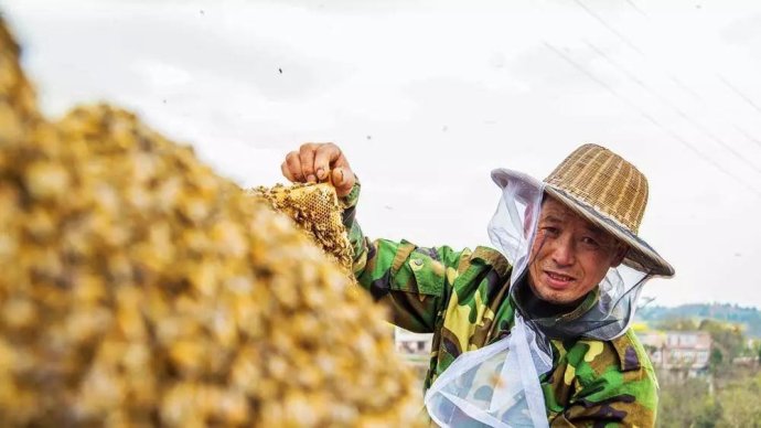 春夏还能这么吃健康养生吃不腻,春夏秋冬适合喝什么滋补