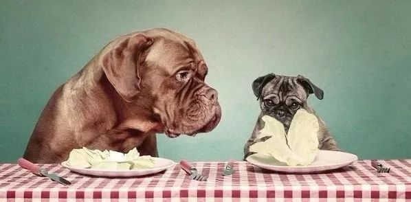 关于鱼油的5个残酷真相,有关鱼油的四个残酷真相