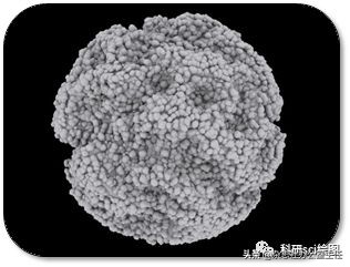 科研绘图流程模板,科研绘图教程