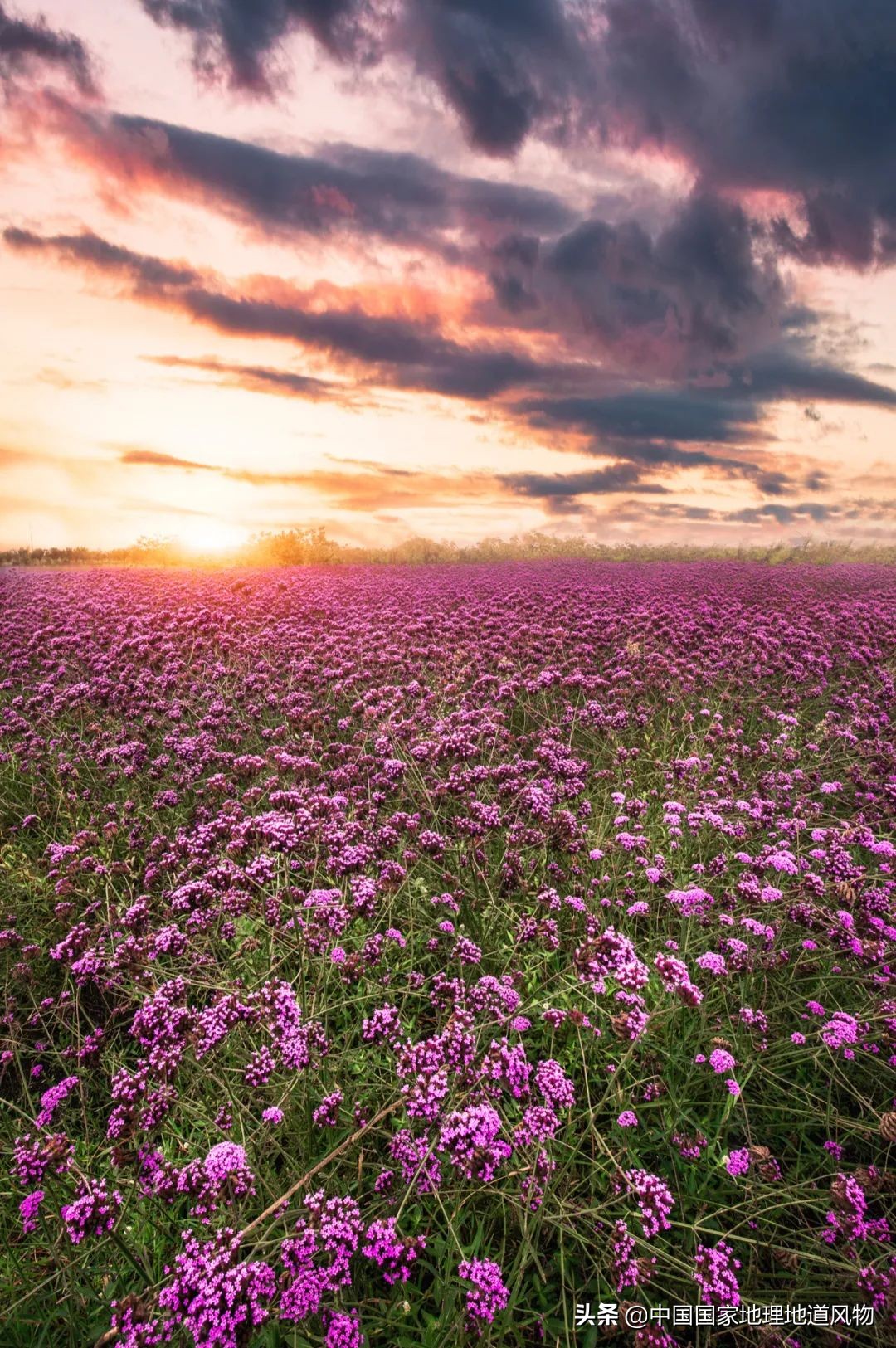 云南有个地方比大理丽江更出名,昆明风景为什么没有大理和丽江好