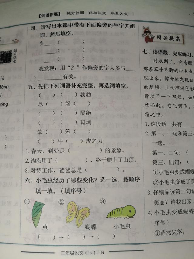 小毛虫的课文二年级下册全部讲解,二年级下册语文小毛虫朗读视频