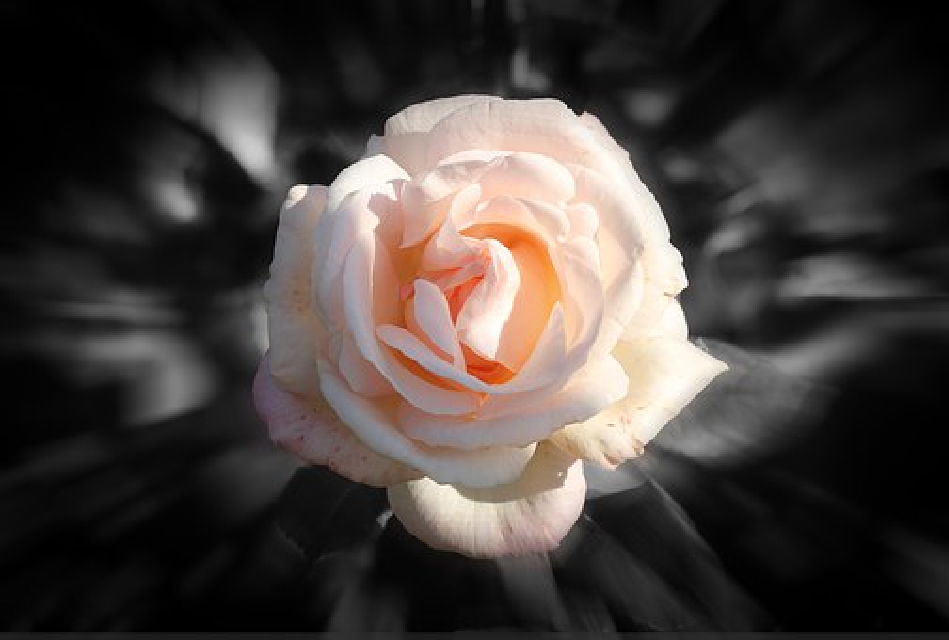 儿子贴心小暖男的朋友圈句子,朋友圈说到心坎里的经典优美句子