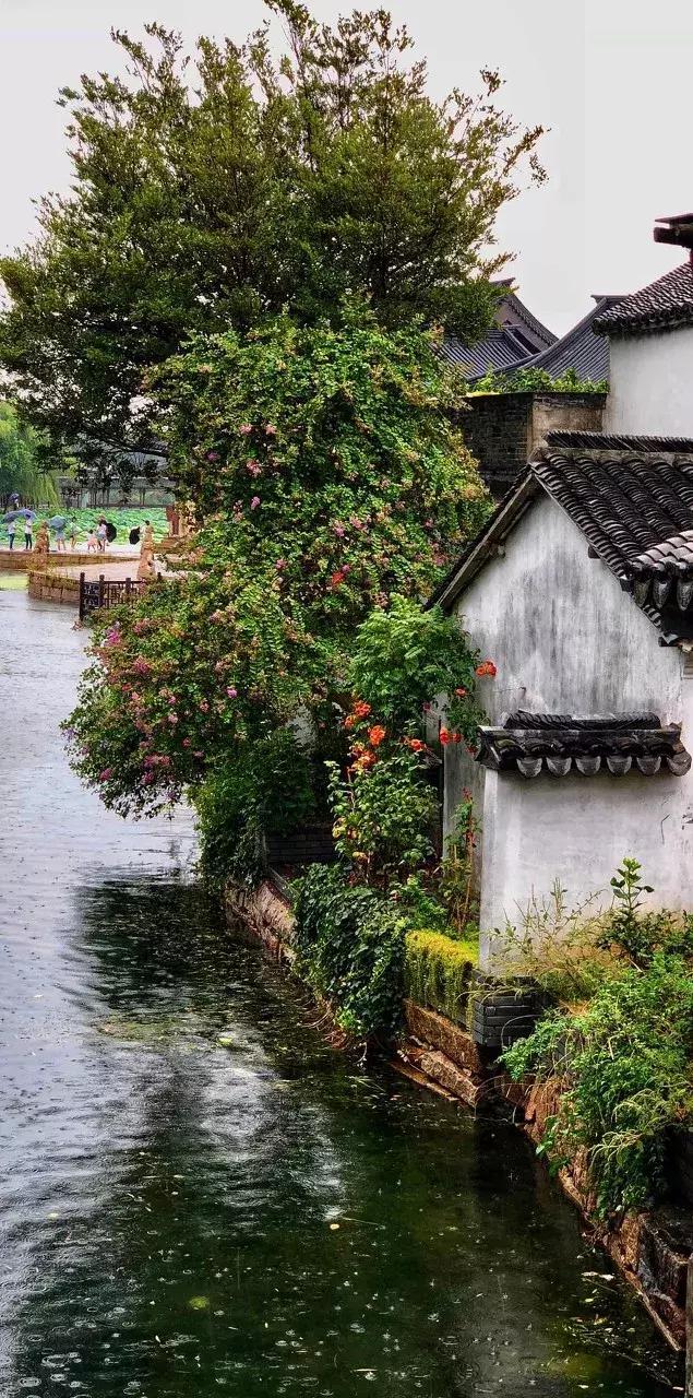 江苏的古镇有哪些值得去看看,江苏最值得打卡的十大古镇