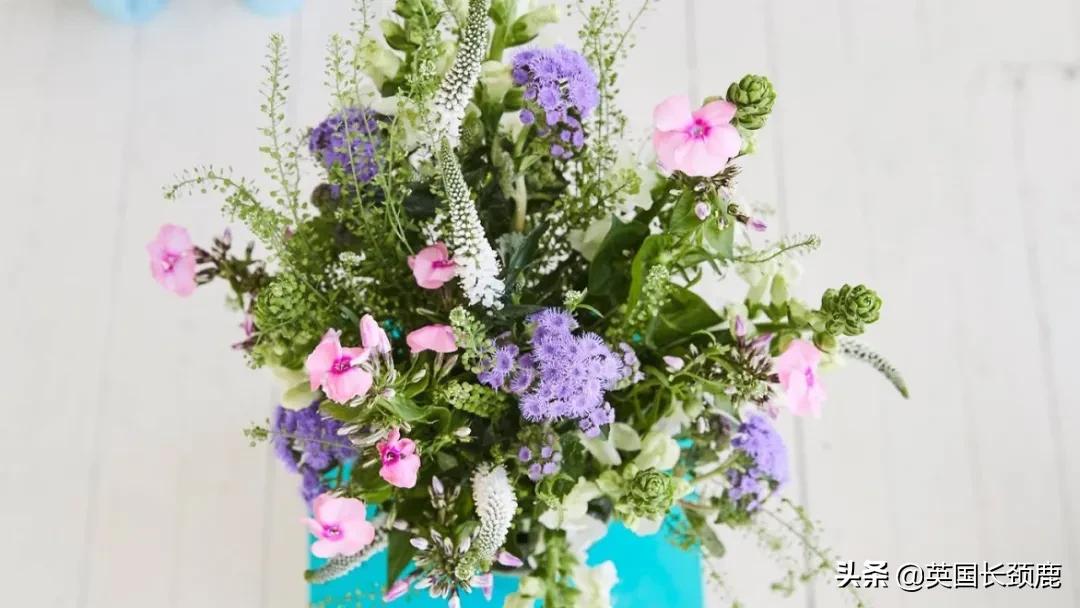 情人节来了怎么少的了fafa?英国鲜花速递服务大盘点:浪漫满分