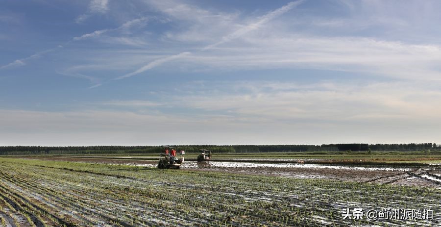 蓟县为什么有满族人,蓟县满族人祖先