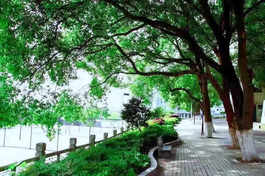 阳光不燥，秋风正好，带你一键解锁咸职的别样风采