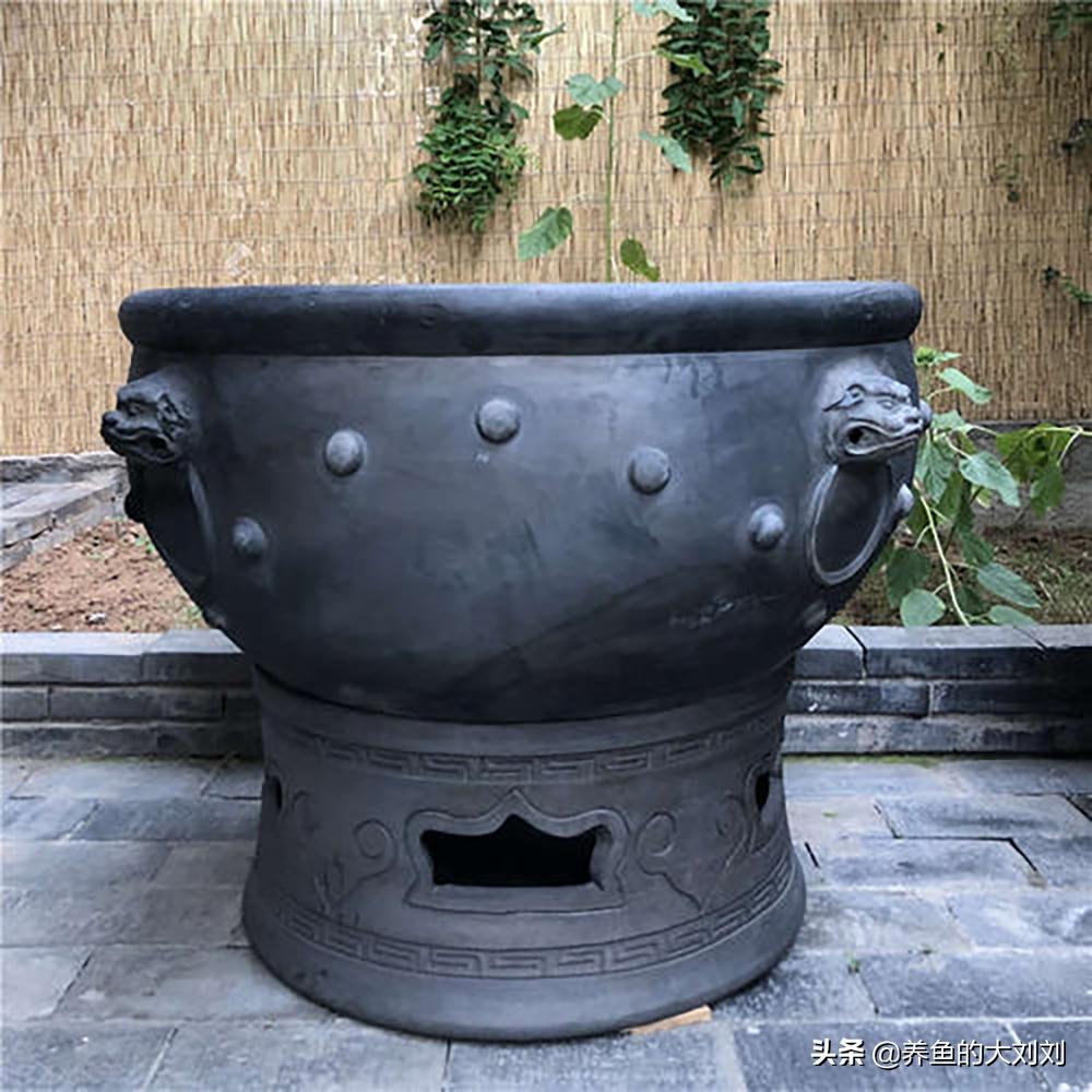 养鱼莫名其妙的就死了,养鱼总死还能养吗