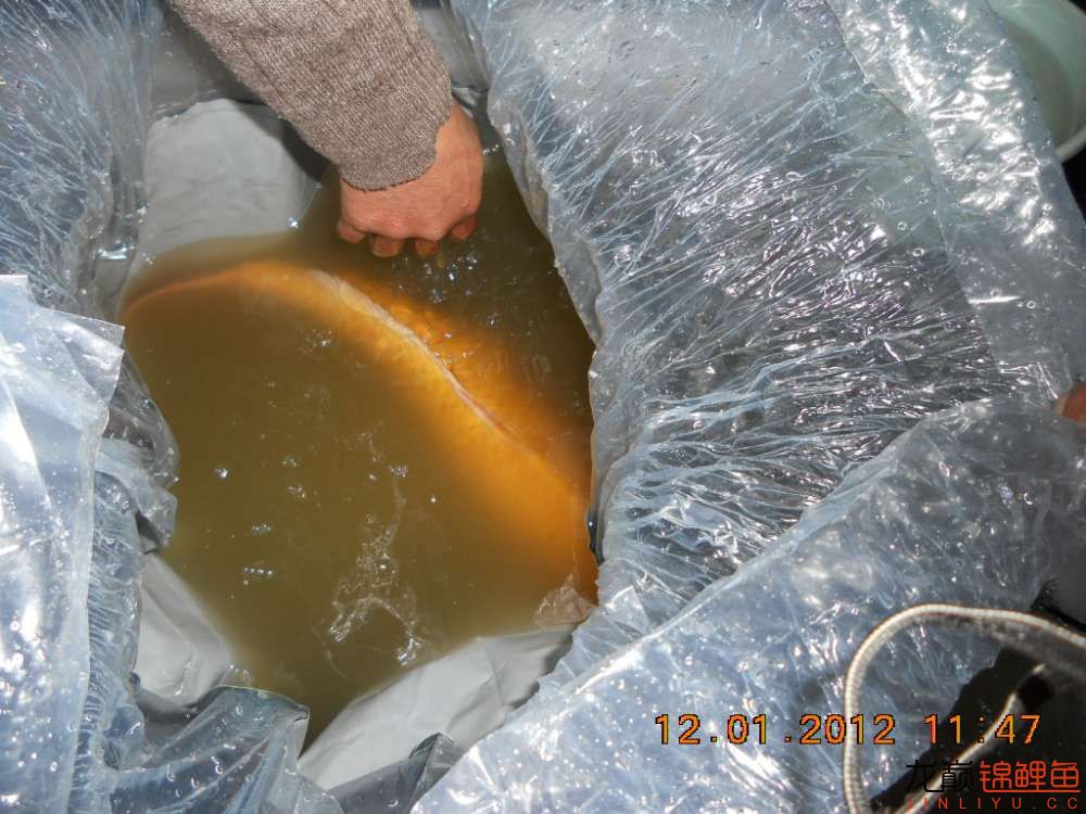 开渔场赚钱吗,开渔场需要多少资金