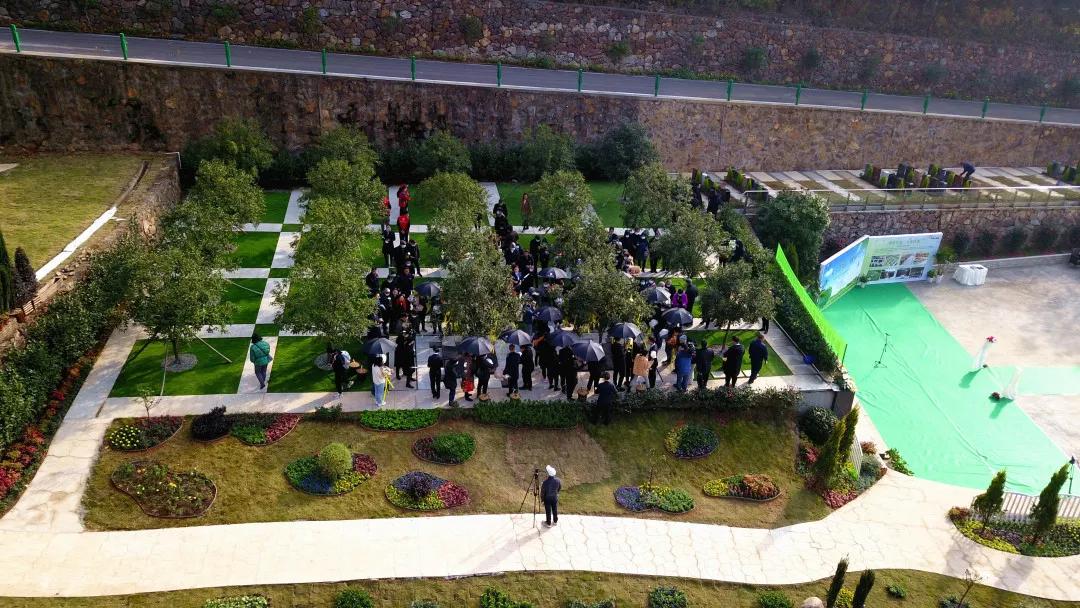 同泰第四届集体树葬圆满举行，21位树葬人士回归自然