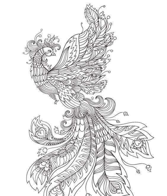 怎样画一个凤凰,怎么画个凤凰