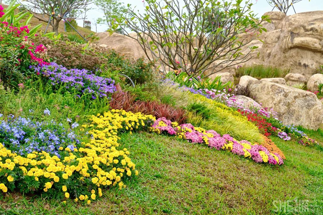 深圳龙华公园对外开放了吗,深圳市龙华新开的公园