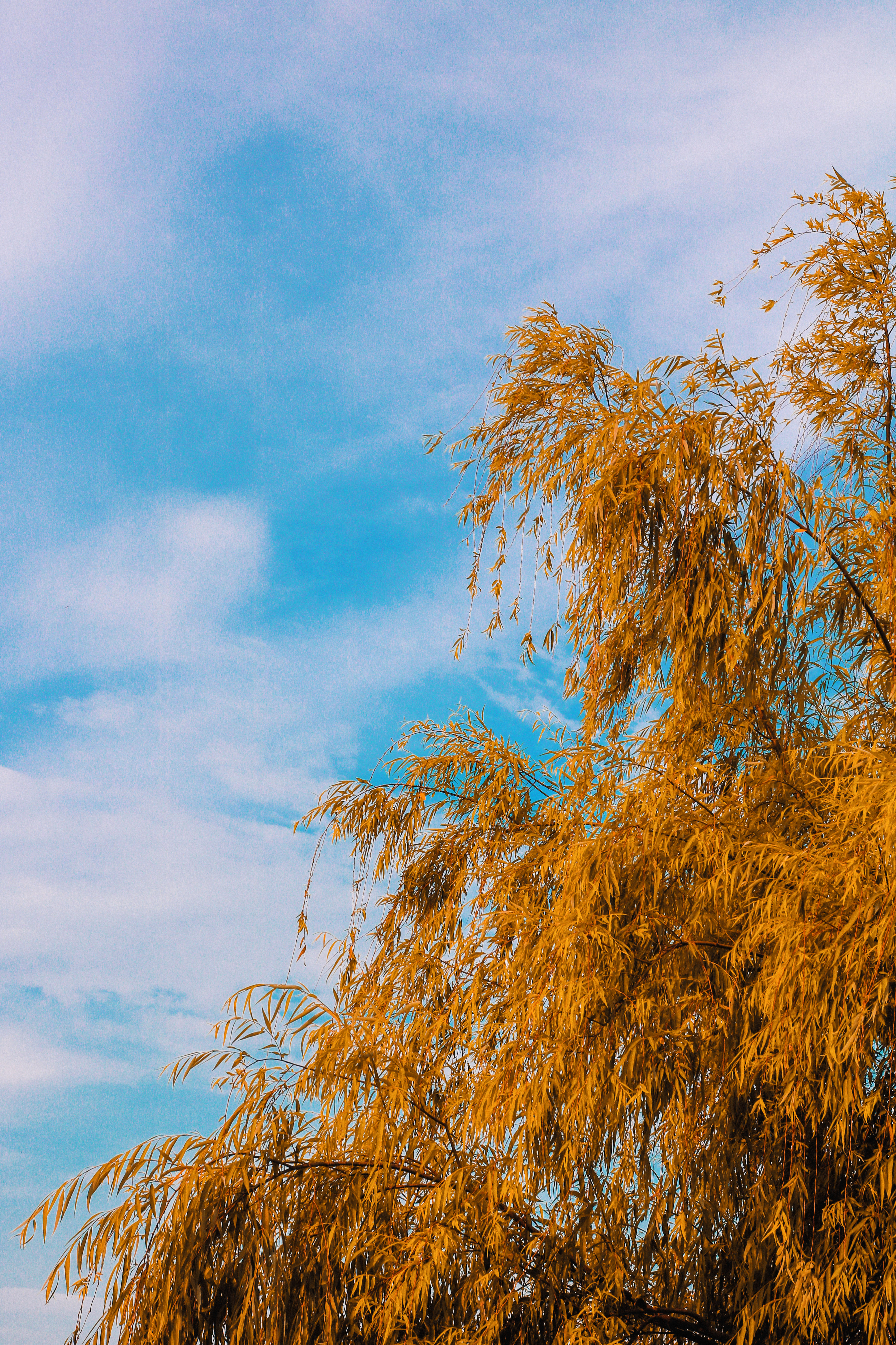 摄影调色教程ps调成高级黑白色调,ps逆光拍摄调色教程