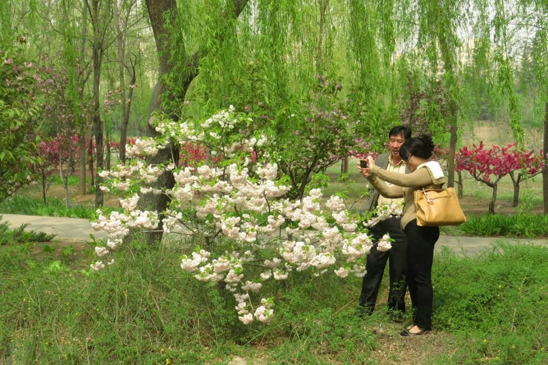 北京戒台寺郊野公园,北京燕山东岭郊野公园