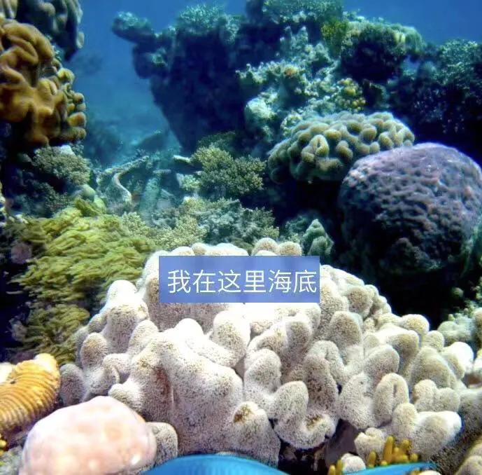 夏天就应该和大海亲密接触,每天都要与大海亲密接触