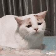 秋冬保湿补水必备,秋冬季节不能少了滋润保湿的步骤