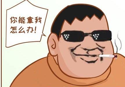 “安装一分钟，卸载半小时”，正面硬刚所有国产流氓*绑捆**软件